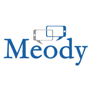 Meody raises $317k 