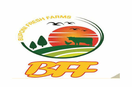 Buponi Fresh Farms