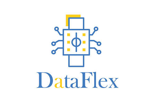 DataFlex
