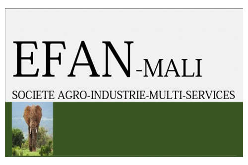 Efan Mali Société