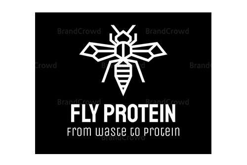 Fly Protein